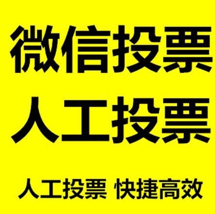 昌都市投票活动拉票能被查出来吗？如何操作能不被发现？